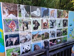 -西霞口神雕山野生动物世界