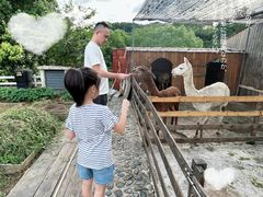 -宁波九龙湖开元度假村