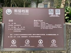 -都江堰中华大熊猫苑