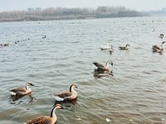 -沈阳市东陵公园