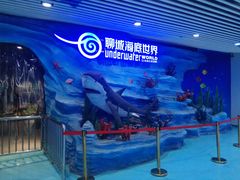 -聊城海底世界