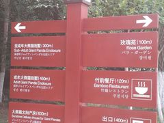 景点-成都大熊猫繁育研究基地