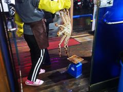 -真情鲍鱼海鲜汤