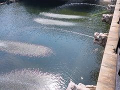 -九龙潭景区