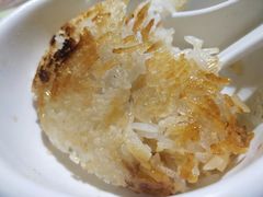 -探窝·竹笙椰子鸡(杨箕店)