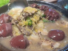 -鸽子窝(青塔店)