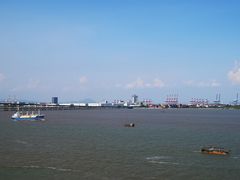 -大湾区中央湿地公园