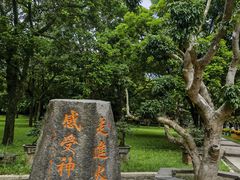 -海口火山口国家地质公园