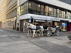 -斯蒂芬主教座堂(Stephansdom)