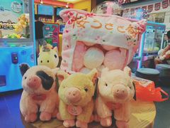 -PAWTOY爪e玩偶店(天兴罗斯福店)