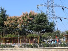 -北岭山森林公园