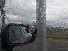 -胖大嫂渔家排档·全海景餐厅(渔村店)