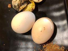 烤毛蛋-昱家胡同·烧烤海鲜铜锅涮肉(和平里店)