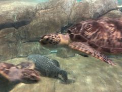 -福州罗源湾海洋世界旅游区