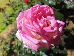 -人民公园(罗湖区)