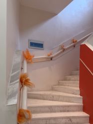 -WENDY·温迪皮肤管理