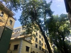-广东胜利宾馆西关粤中餐厅