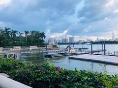 -珠江夜游广州塔·中大码头