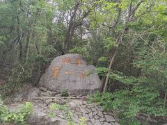 -宜兴张公洞