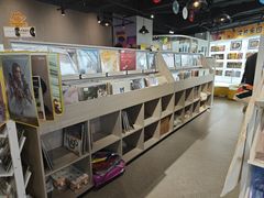 -浣熊唱片店(上海影城店)