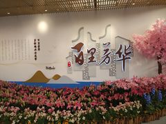 -万顷园艺世界