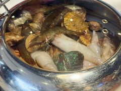 -大锅强·蒸海鲜青岛菜(金沙滩店)