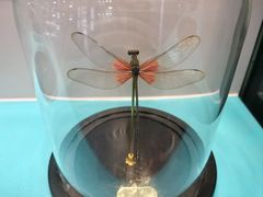 -惠州西湖风景名胜区-丰渚园