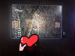 -罗红摄影艺术馆