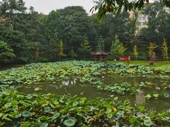 -西南交通大学(峨眉校区)