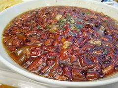 毛血旺-陈麻婆豆腐总店