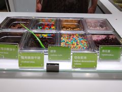 -Salud撒露欧洲冻酸奶(北苑上品店)