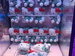 -嗨翻Hi-Fun竞技主题乐园·蹦床亲子生日轰趴(国光1937店)