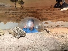 -正佳雨林生态植物园