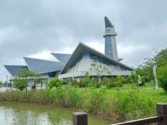 -盐城丹顶鹤湿地生态旅游区