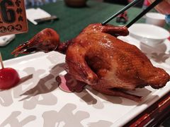 -大鸽饭(汉溪长隆店)