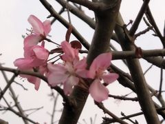 -白鹭湾湿地公园