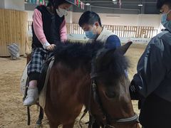 -李振强马术运动推广中心(南城店)