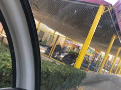 -朝阳公园游乐园