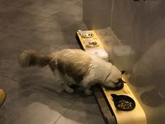 -咖法森林·咖啡  酒吧(天河店)