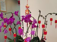 -土豆口腔(凤凰北总店)