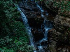 -鼎湖山风景区