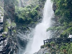 -姑婆山旅游区