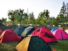 -前小桔亲子创意农场·草莓采摘·露营烧烤