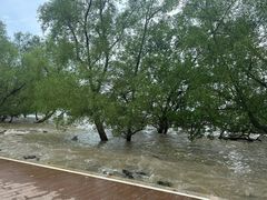 -宝安西湾红树林湿地公园