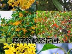 -洛阳市隋唐城遗址植物园