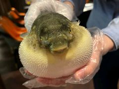 -肆月河豚·淮扬菜·湘菜(华天店)
