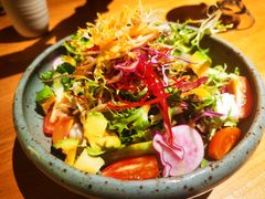 -Hatsune隐泉日式料理(三里屯太古里店)