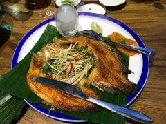 -雀舞云南菜(乐客城店)