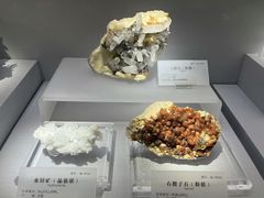 -湖南省地质博物馆