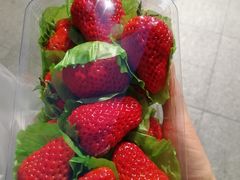 -百果园(奕淳公寓店)